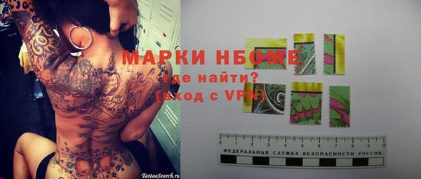 спиды Ельня
