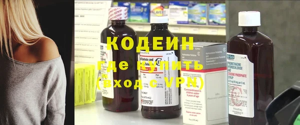 спиды Ельня