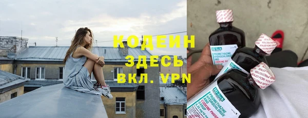 спиды Ельня