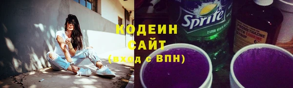 спиды Ельня