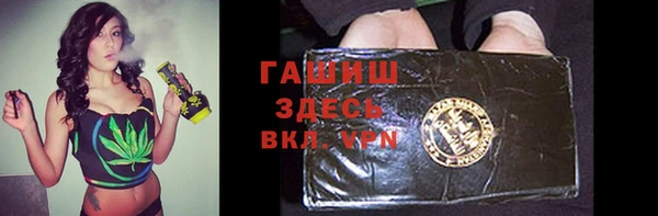 спиды Ельня