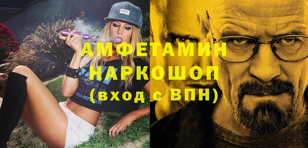 спиды Ельня