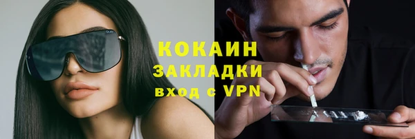 спиды Ельня