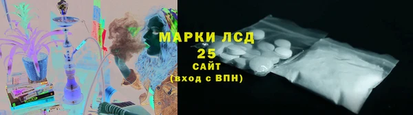 спиды Ельня