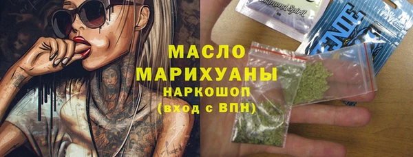 спиды Ельня