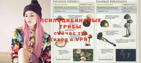 не бодяженный Елизово